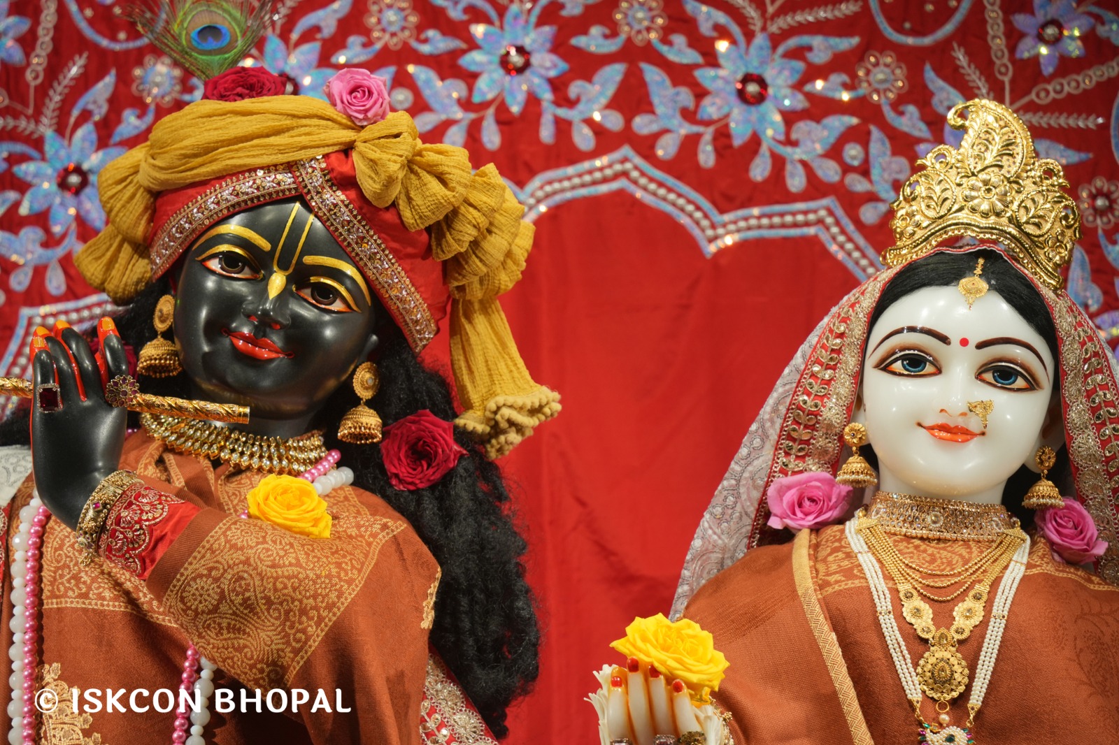 WhatsApp Image 2026-01-30 at 6.55.35 AM (1)