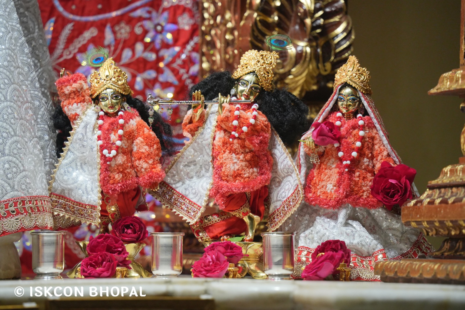 WhatsApp Image 2026-01-30 at 6.55.35 AM (2)