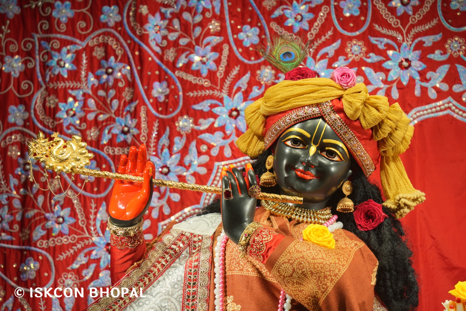 WhatsApp Image 2026-01-30 at 6.55.36 AM