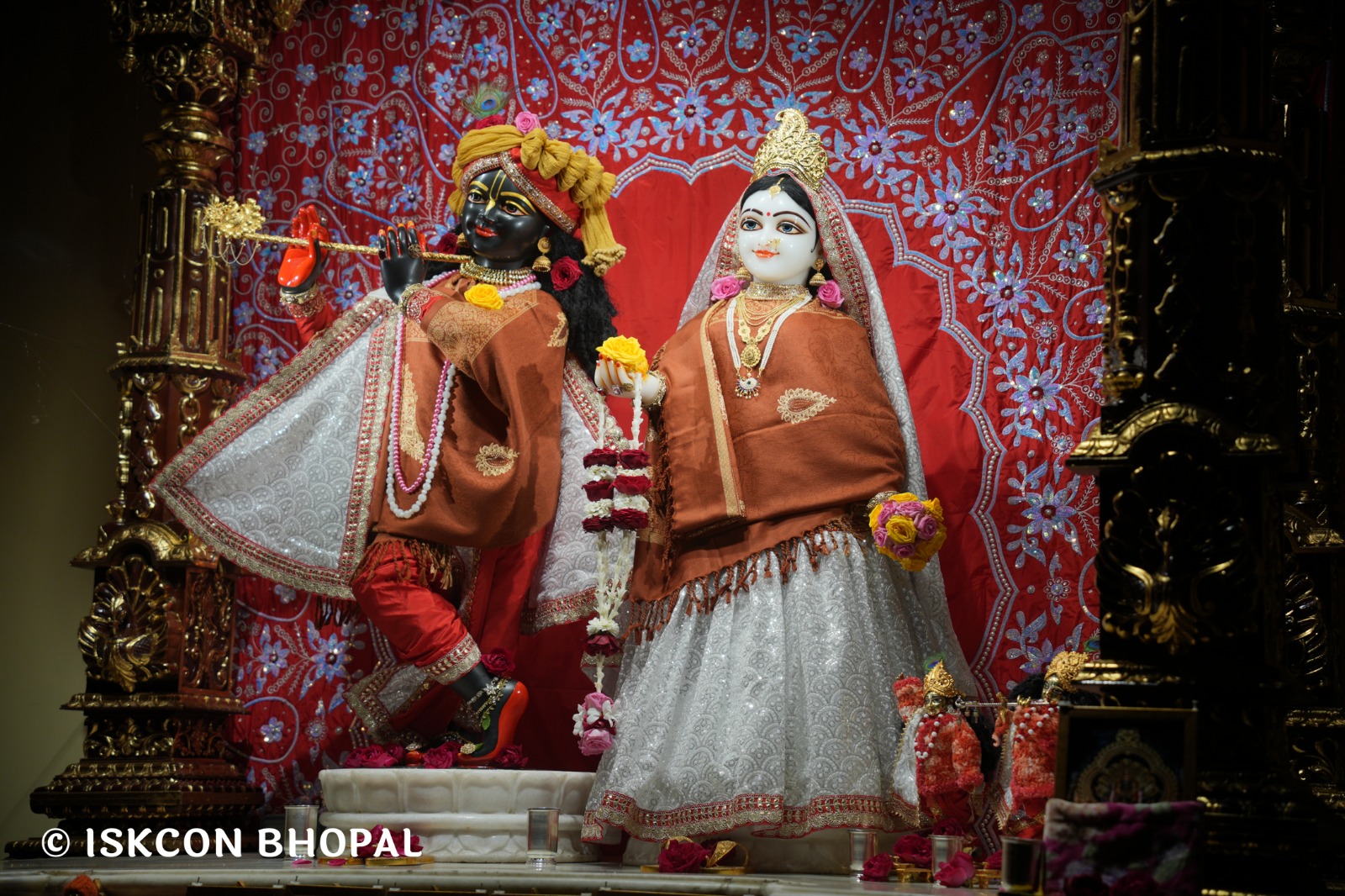 WhatsApp Image 2026-01-30 at 6.55.37 AM