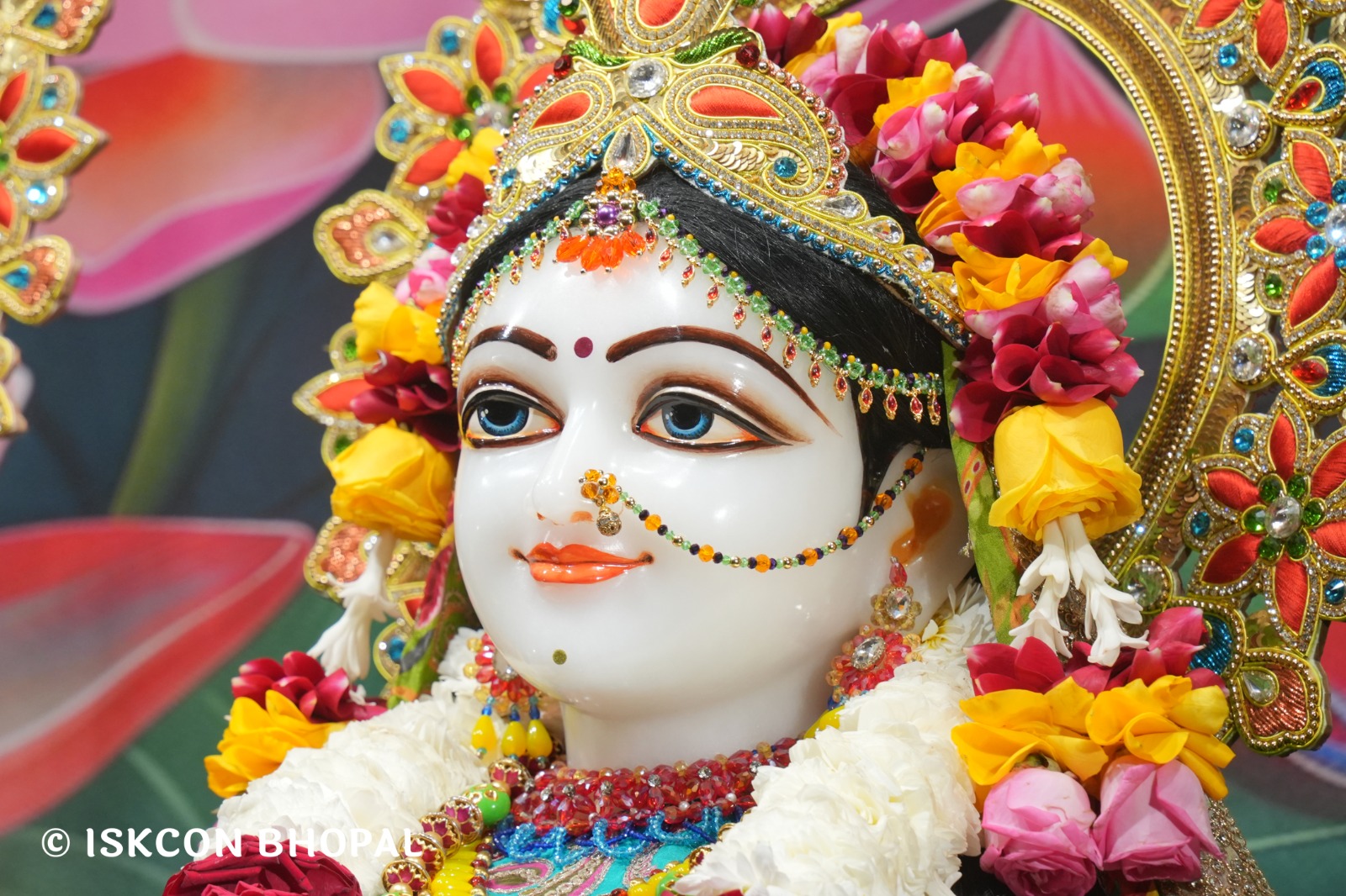 WhatsApp Image 2026-01-30 at 7.48.11 AM (1)