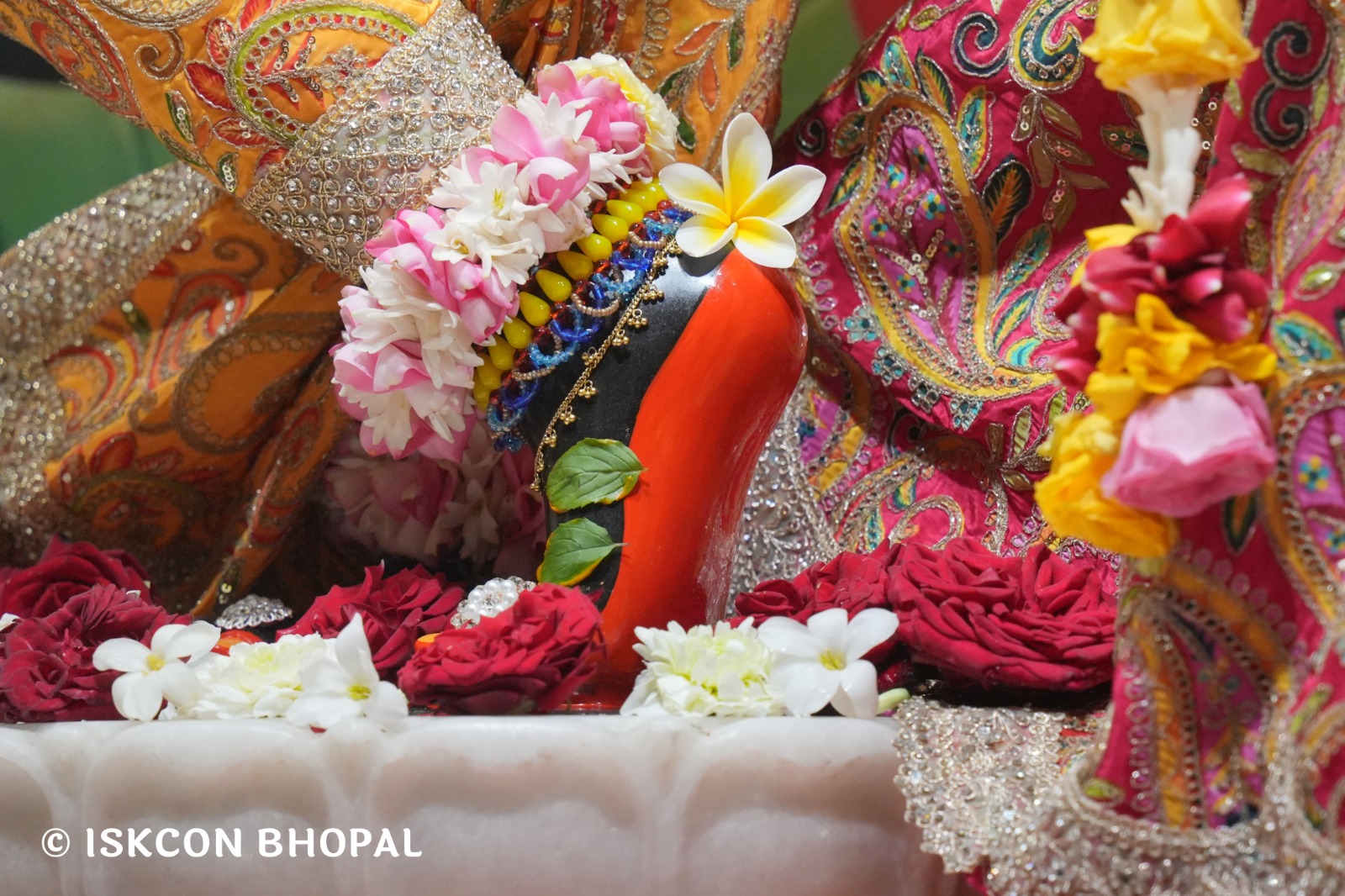 WhatsApp Image 2026-01-30 at 7.48.11 AM