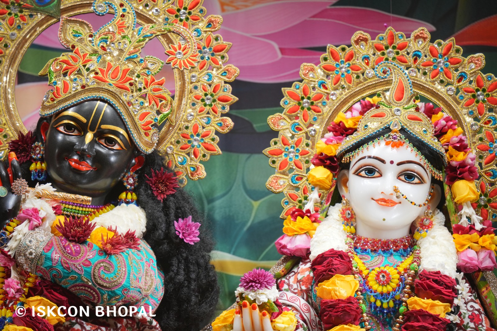 WhatsApp Image 2026-01-30 at 7.48.12 AM (1)