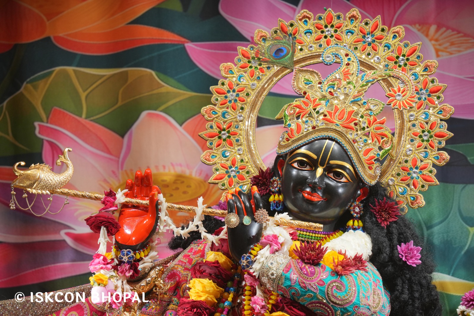 WhatsApp Image 2026-01-30 at 7.48.12 AM