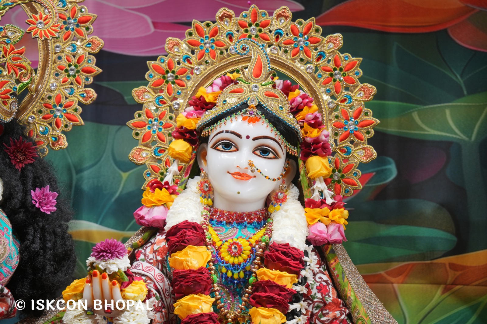 WhatsApp Image 2026-01-30 at 7.48.13 AM (1)