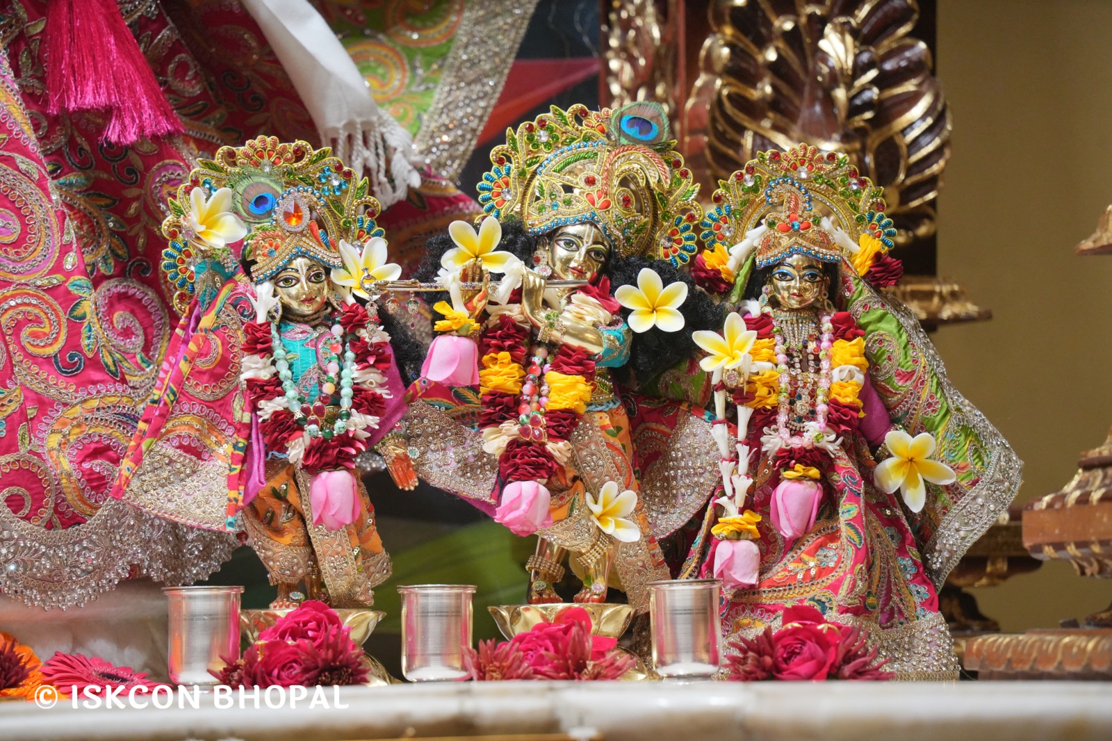 WhatsApp Image 2026-01-30 at 7.48.13 AM (2)