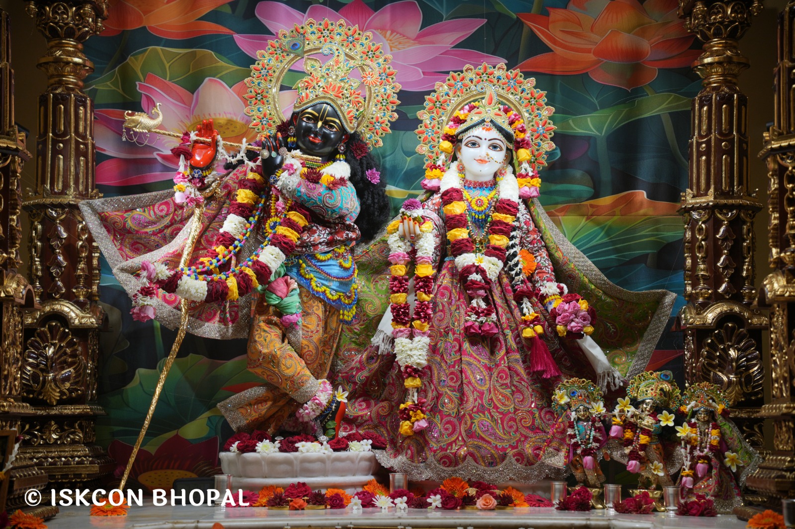 WhatsApp Image 2026-01-30 at 7.48.14 AM (1)