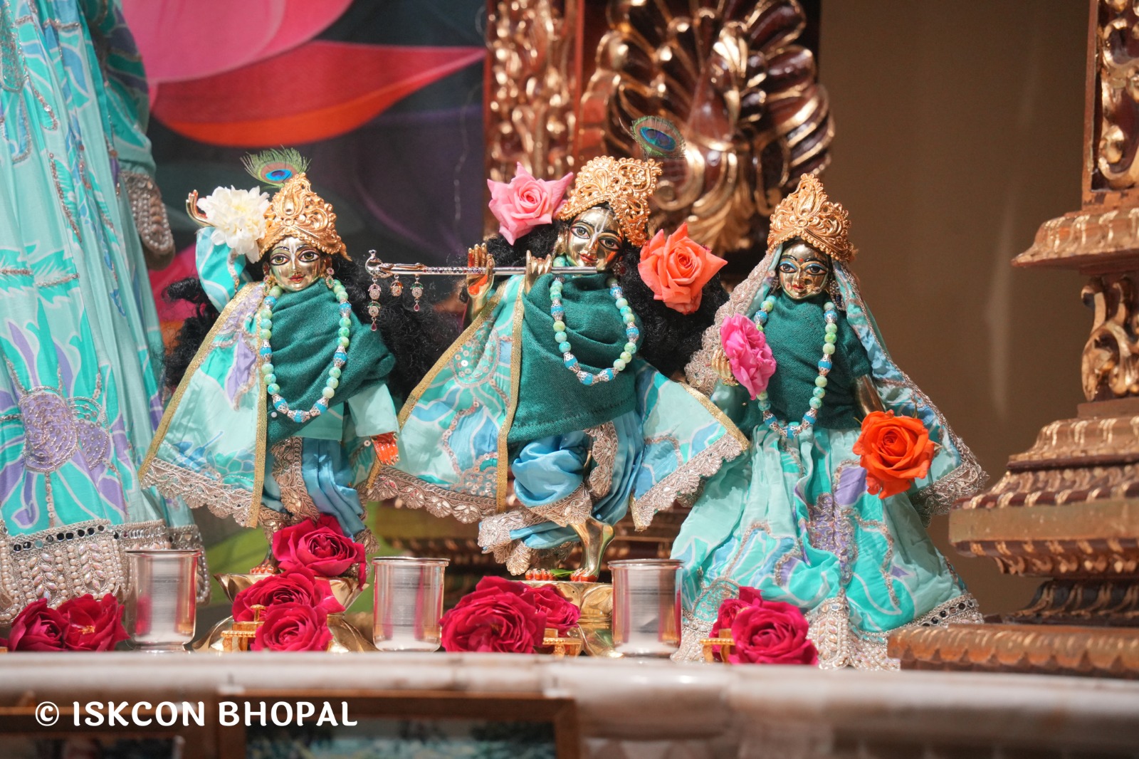 WhatsApp Image 2026-01-31 at 5.38.30 AM (1)