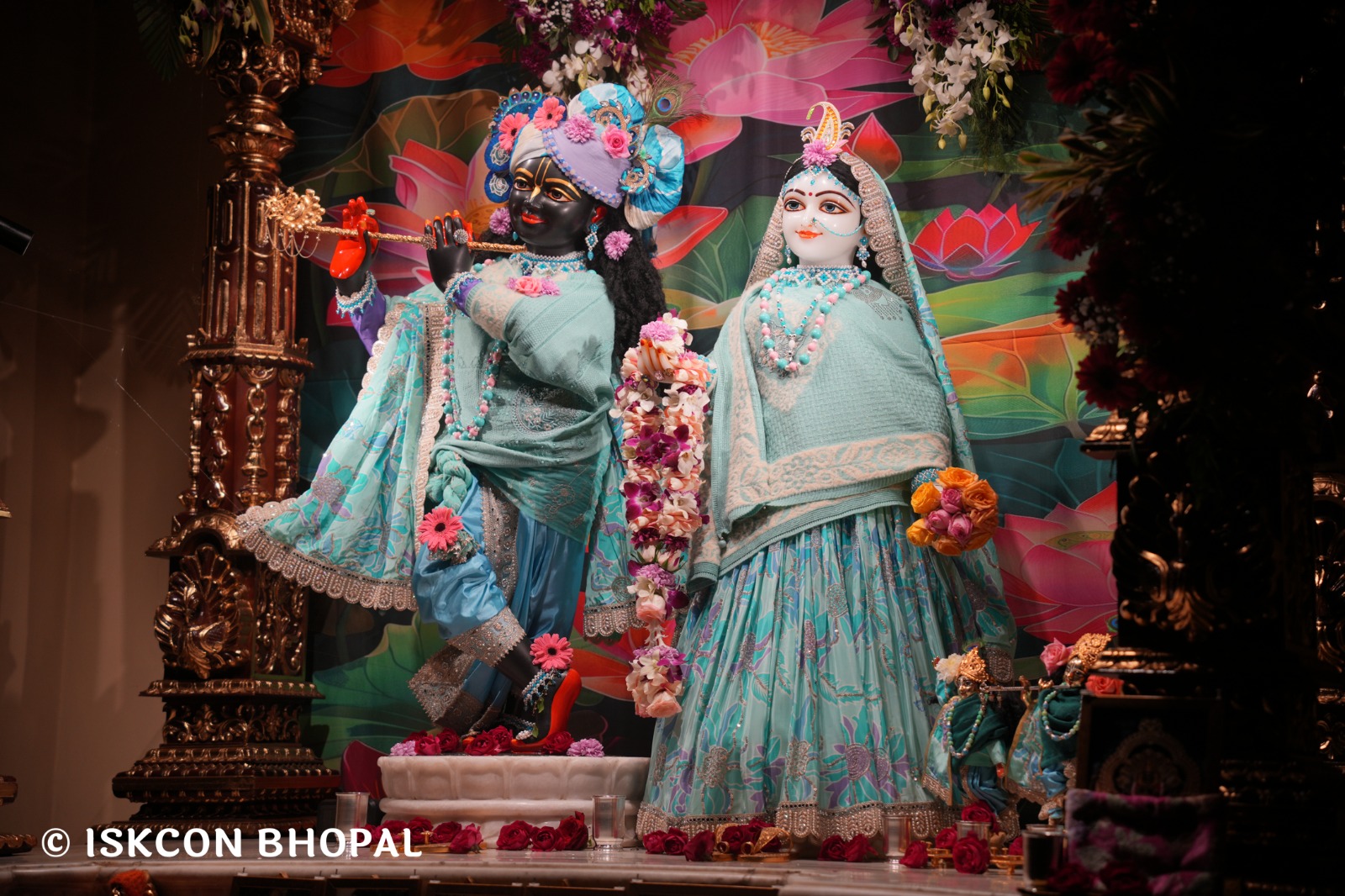 WhatsApp Image 2026-01-31 at 5.38.31 AM (3)