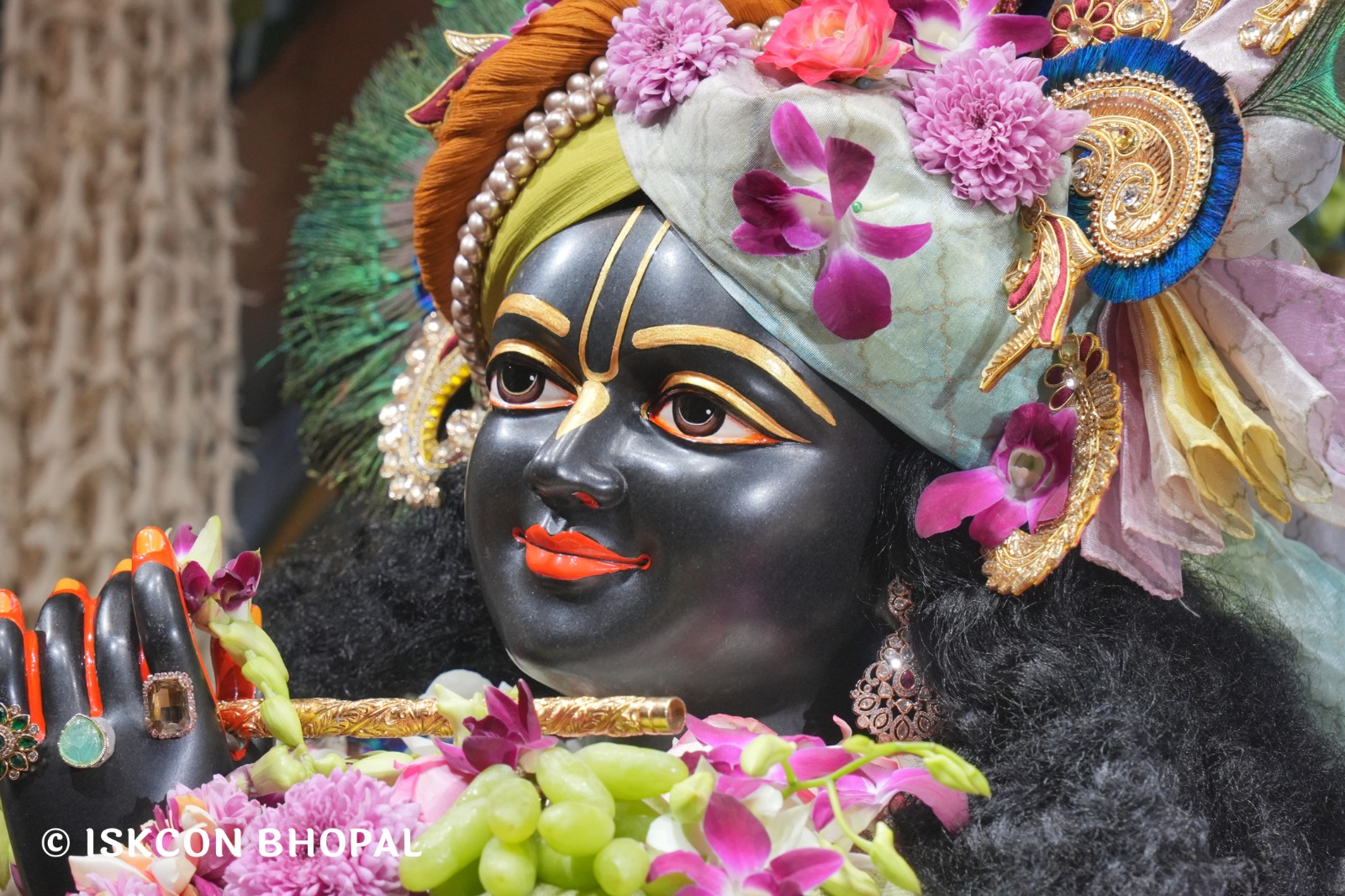 WhatsApp Image 2026-01-31 at 8.30.46 AM (1)