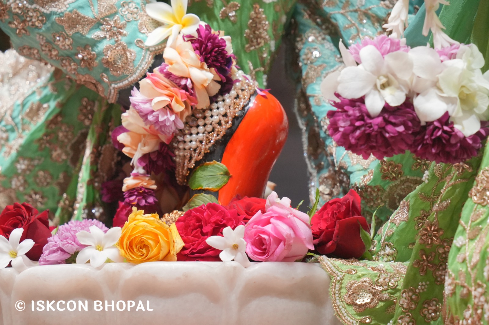 WhatsApp Image 2026-01-31 at 8.30.46 AM