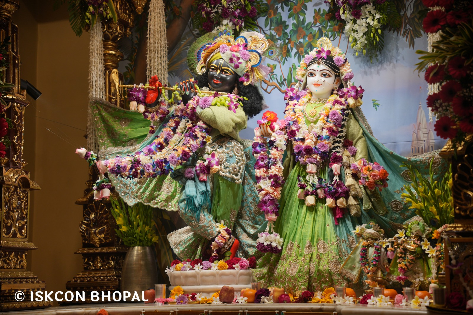 WhatsApp Image 2026-01-31 at 8.30.47 AM (1)