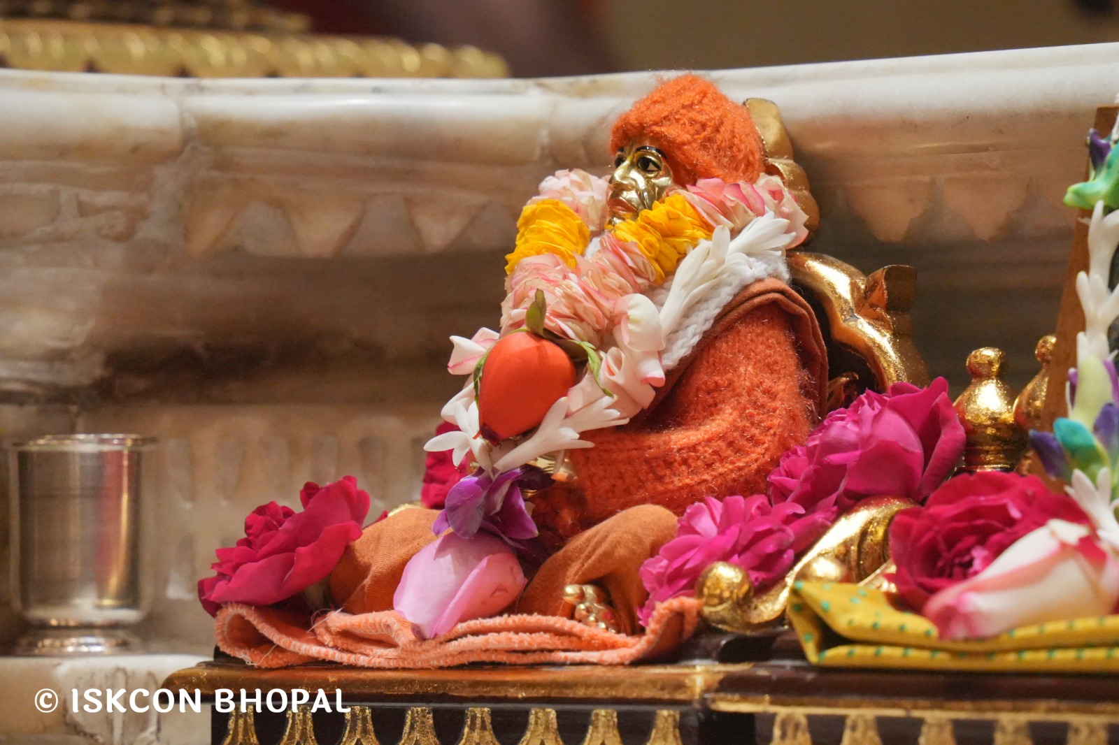 WhatsApp Image 2026-01-31 at 8.30.47 AM