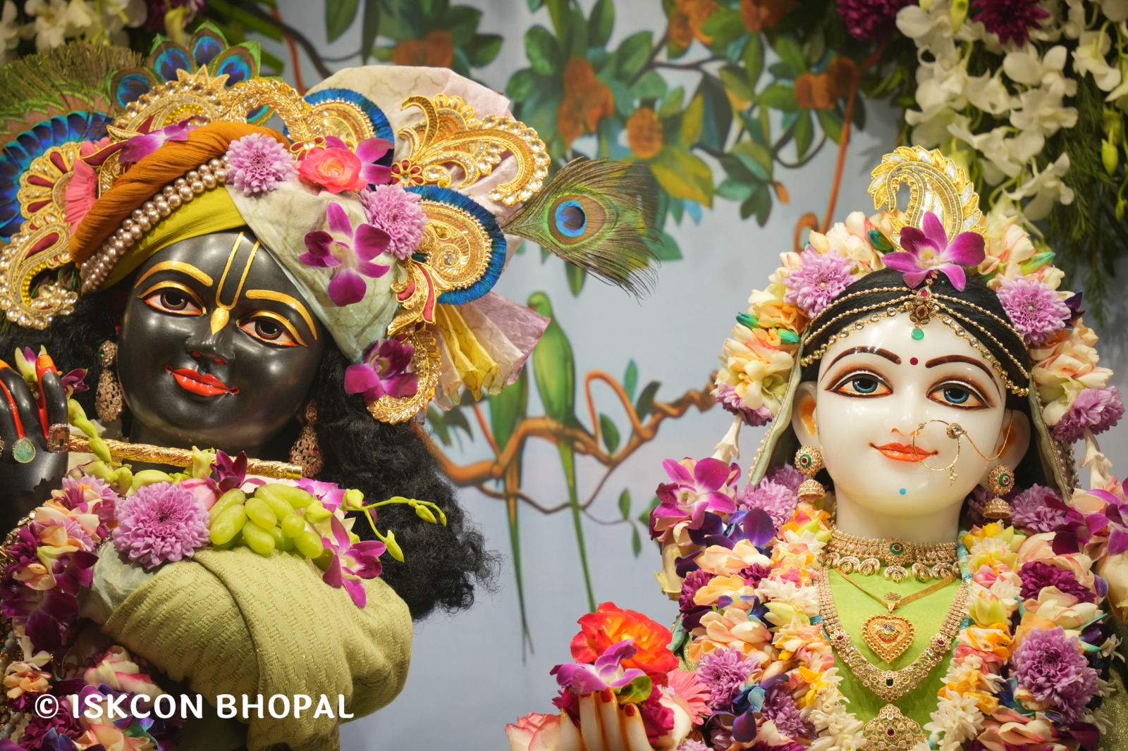 WhatsApp Image 2026-01-31 at 8.30.48 AM (1)