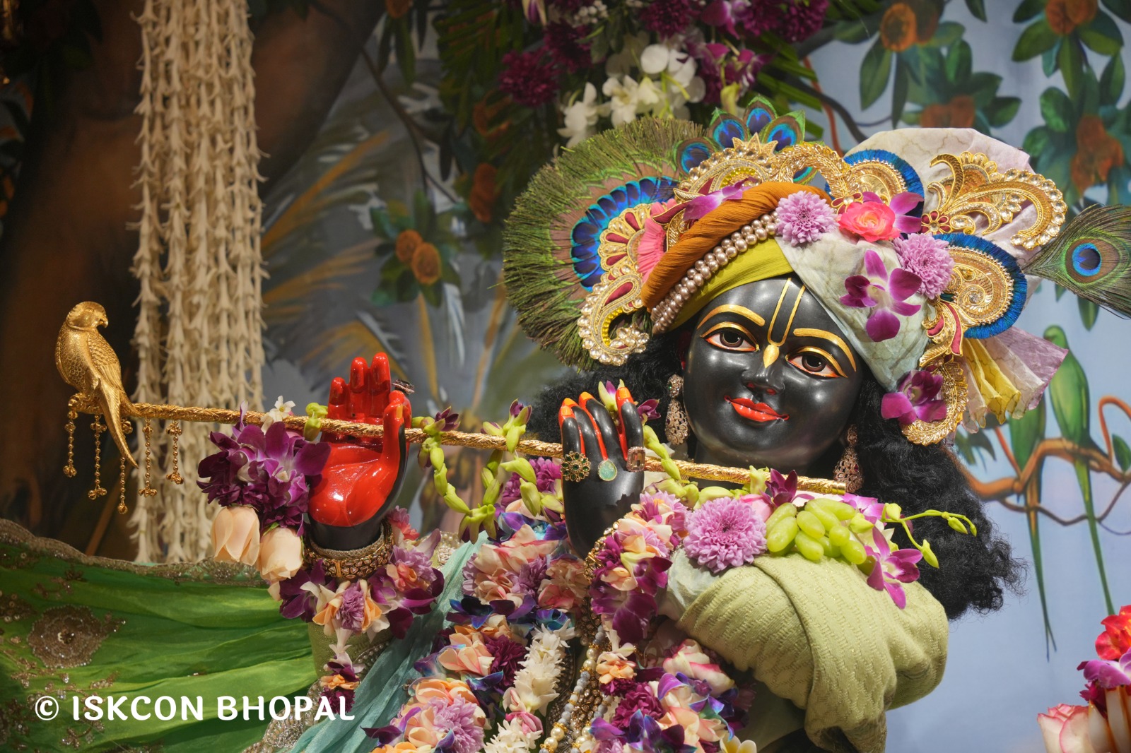 WhatsApp Image 2026-01-31 at 8.30.48 AM (3)