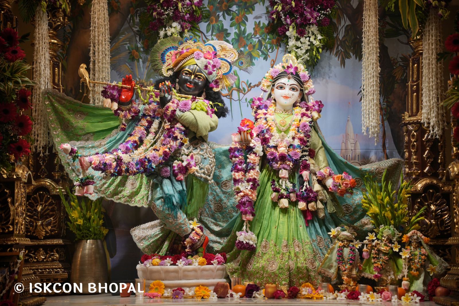 WhatsApp Image 2026-01-31 at 8.30.48 AM (5)