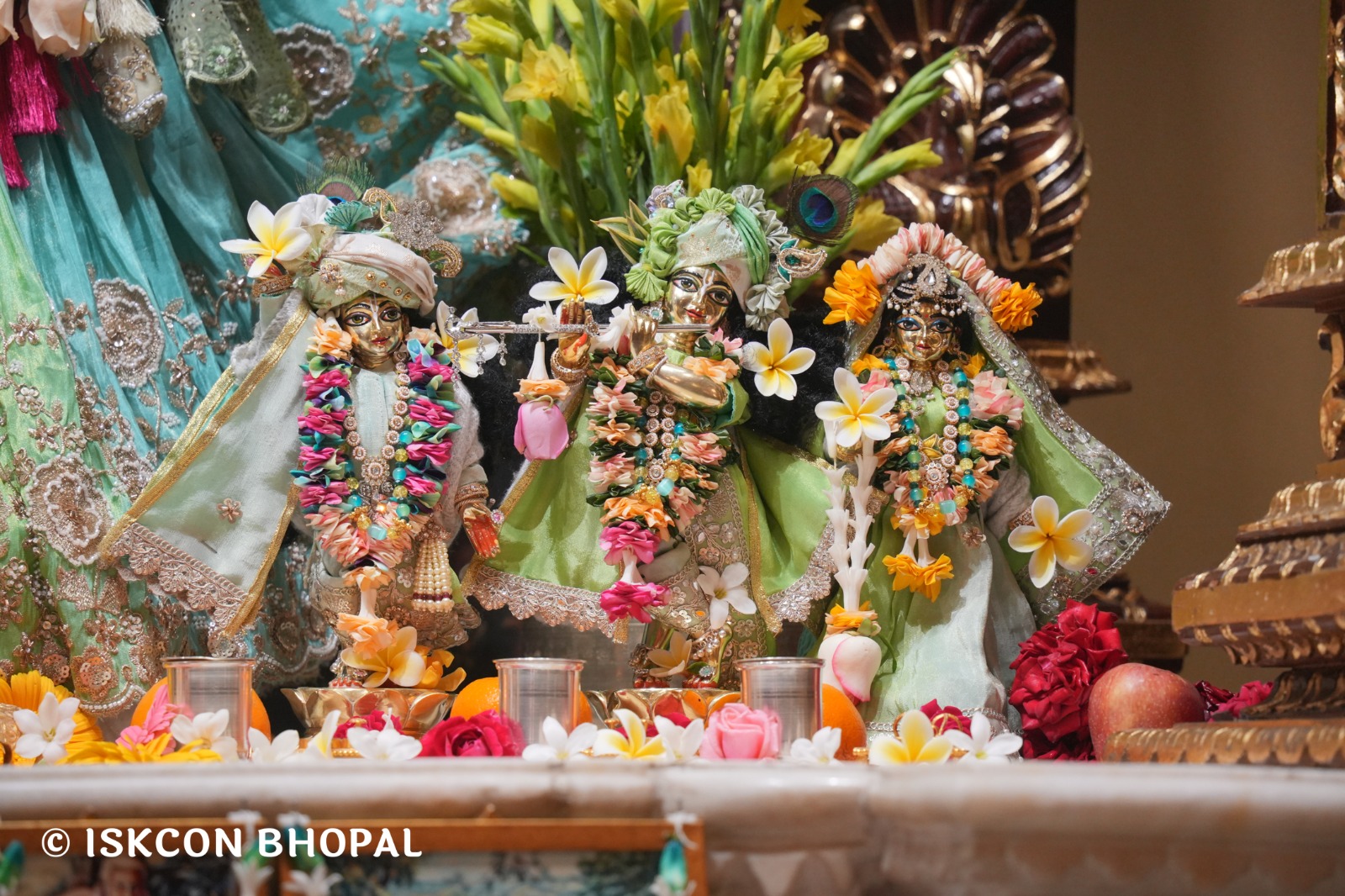 WhatsApp Image 2026-01-31 at 8.30.48 AM