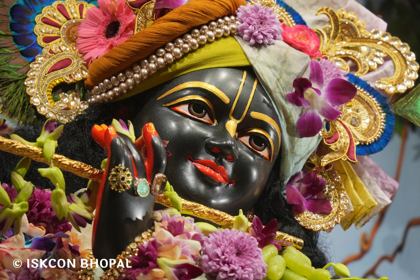 WhatsApp Image 2026-01-31 at 8.30.49 AM