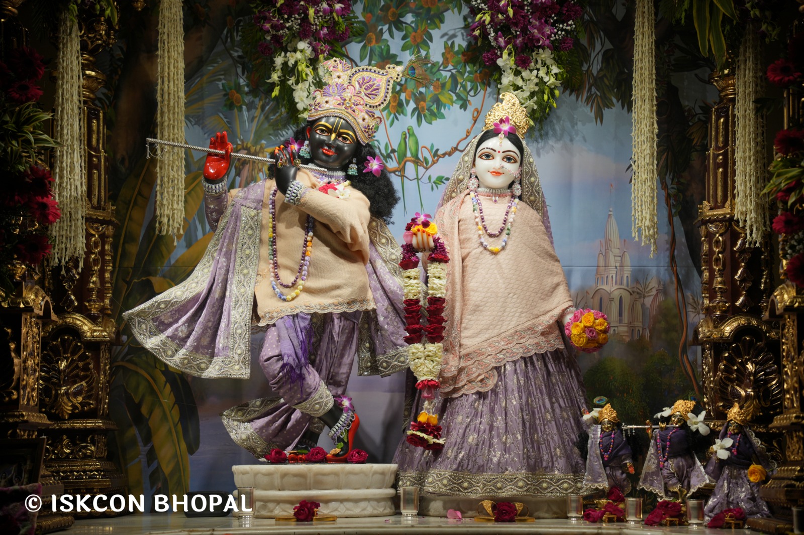 WhatsApp Image 2026-02-01 at 3.42.07 PM (2)