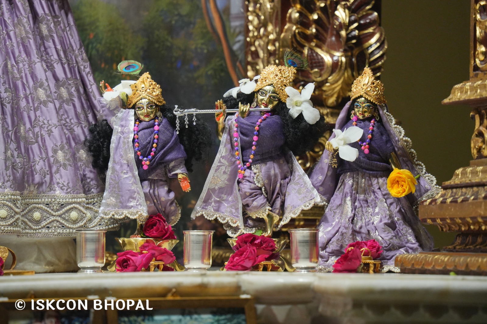 WhatsApp Image 2026-02-01 at 3.42.07 PM (3)