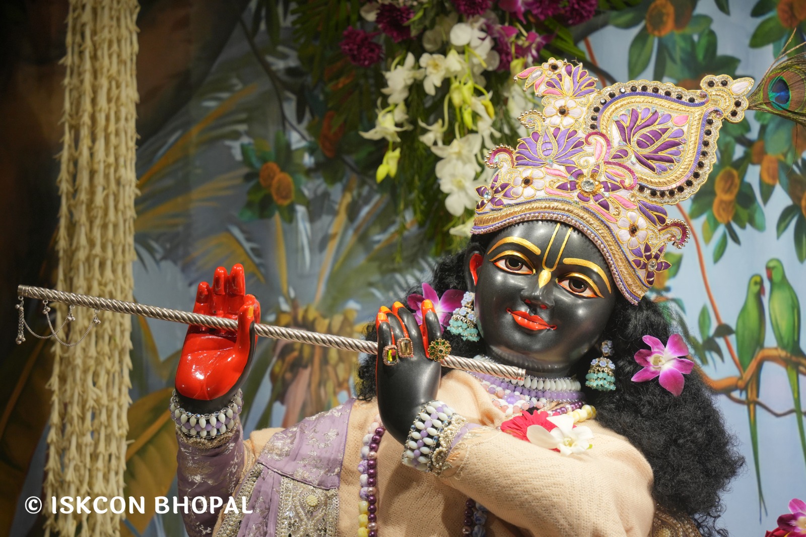 WhatsApp Image 2026-02-01 at 3.42.07 PM