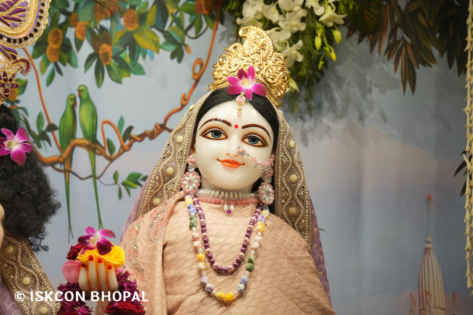 WhatsApp Image 2026-02-01 at 3.42.08 PM (2)