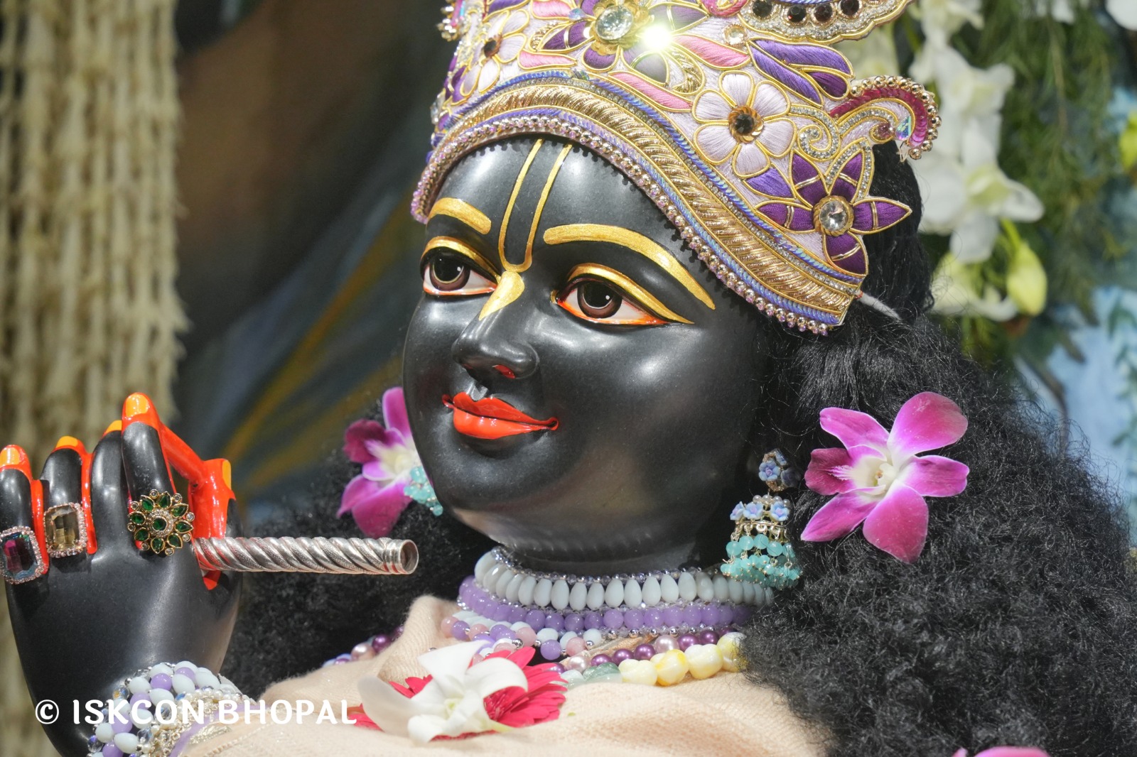 WhatsApp Image 2026-02-01 at 3.42.08 PM (3)