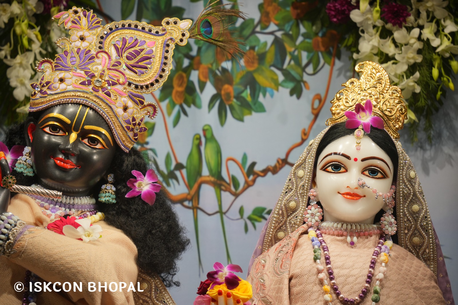 WhatsApp Image 2026-02-01 at 3.42.08 PM (4)