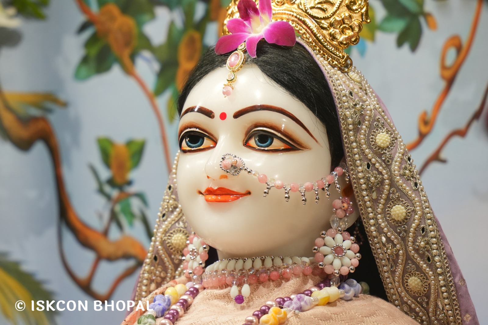 WhatsApp Image 2026-02-01 at 3.42.08 PM (5)