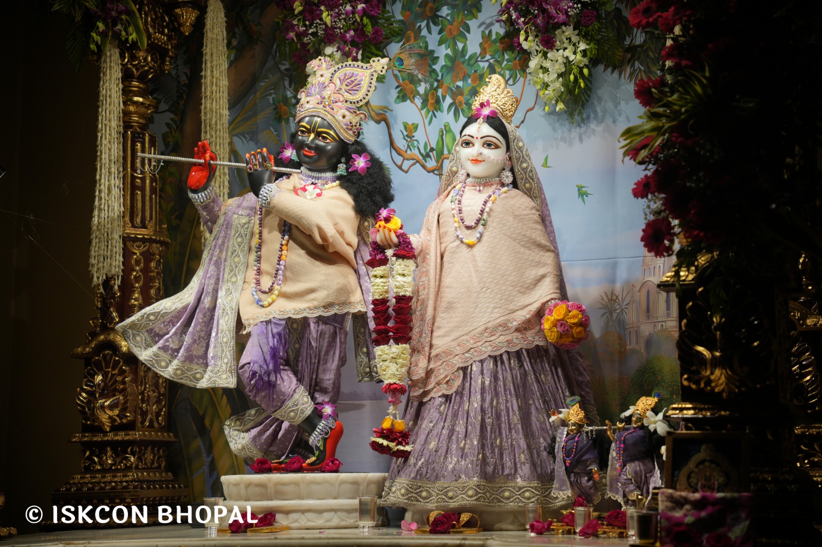 WhatsApp Image 2026-02-01 at 3.42.09 PM (1)