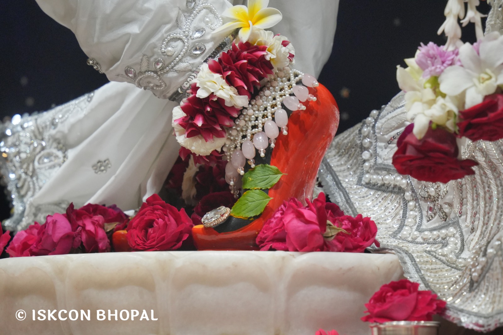 WhatsApp Image 2026-02-01 at 3.43.05 PM (1)