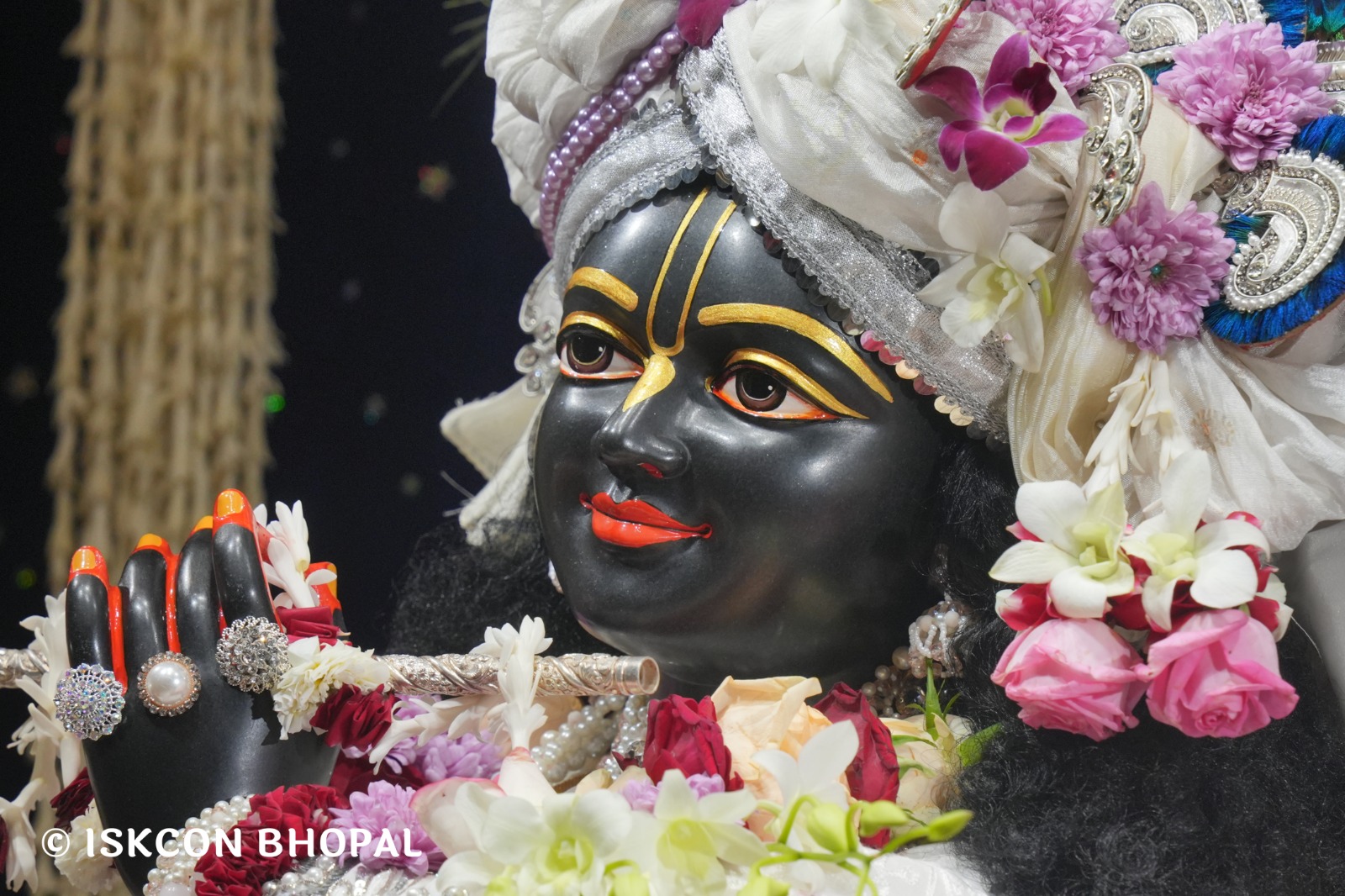 WhatsApp Image 2026-02-01 at 3.43.05 PM (2)