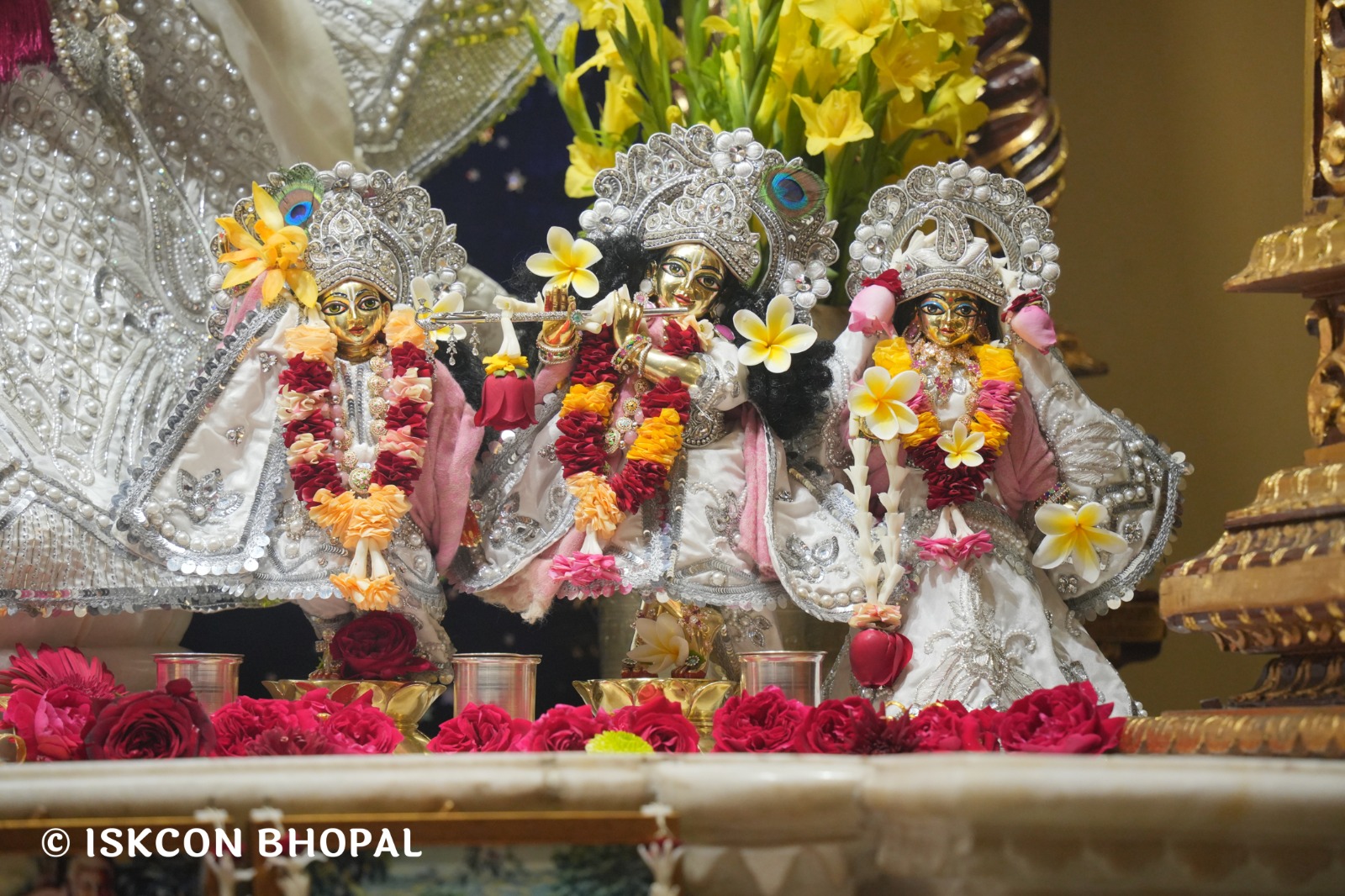 WhatsApp Image 2026-02-01 at 3.43.07 PM (1)