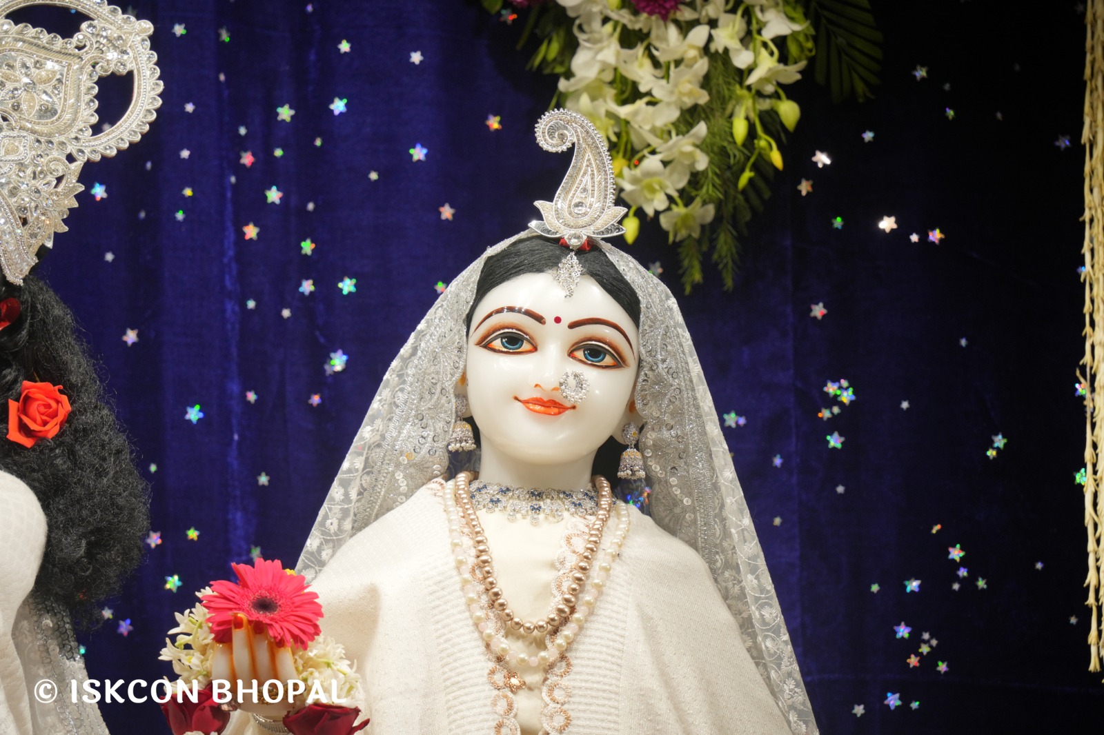 WhatsApp Image 2026-02-02 at 7.09.57 AM (3)