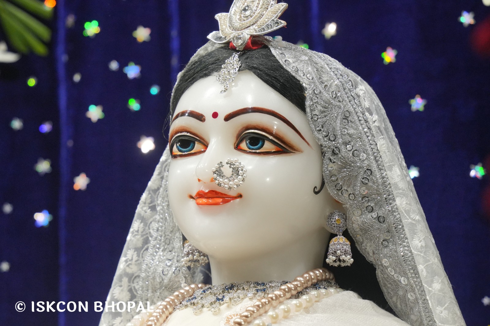 WhatsApp Image 2026-02-02 at 7.09.58 AM (2)