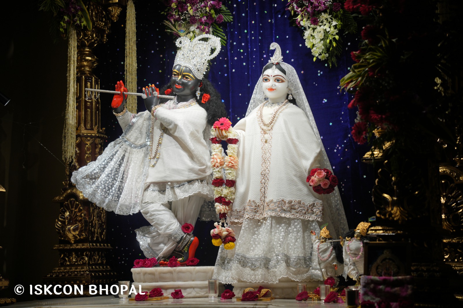 WhatsApp Image 2026-02-02 at 7.09.58 AM (3)