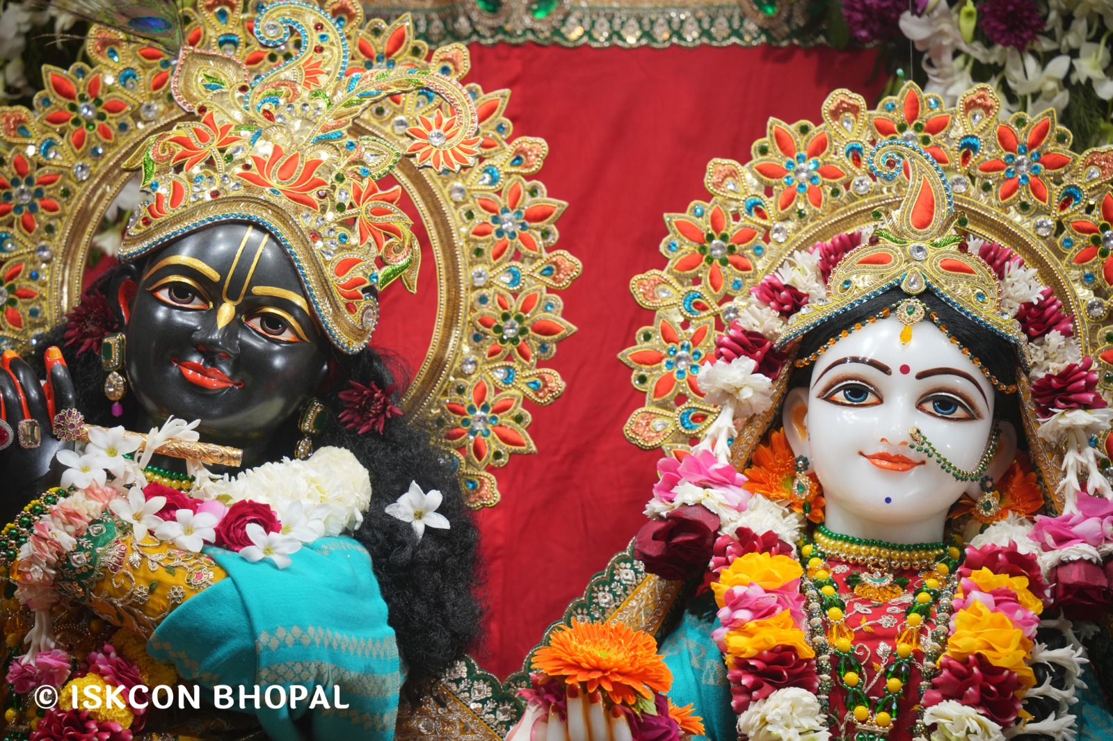 WhatsApp Image 2026-02-02 at 7.51.33 AM (1)