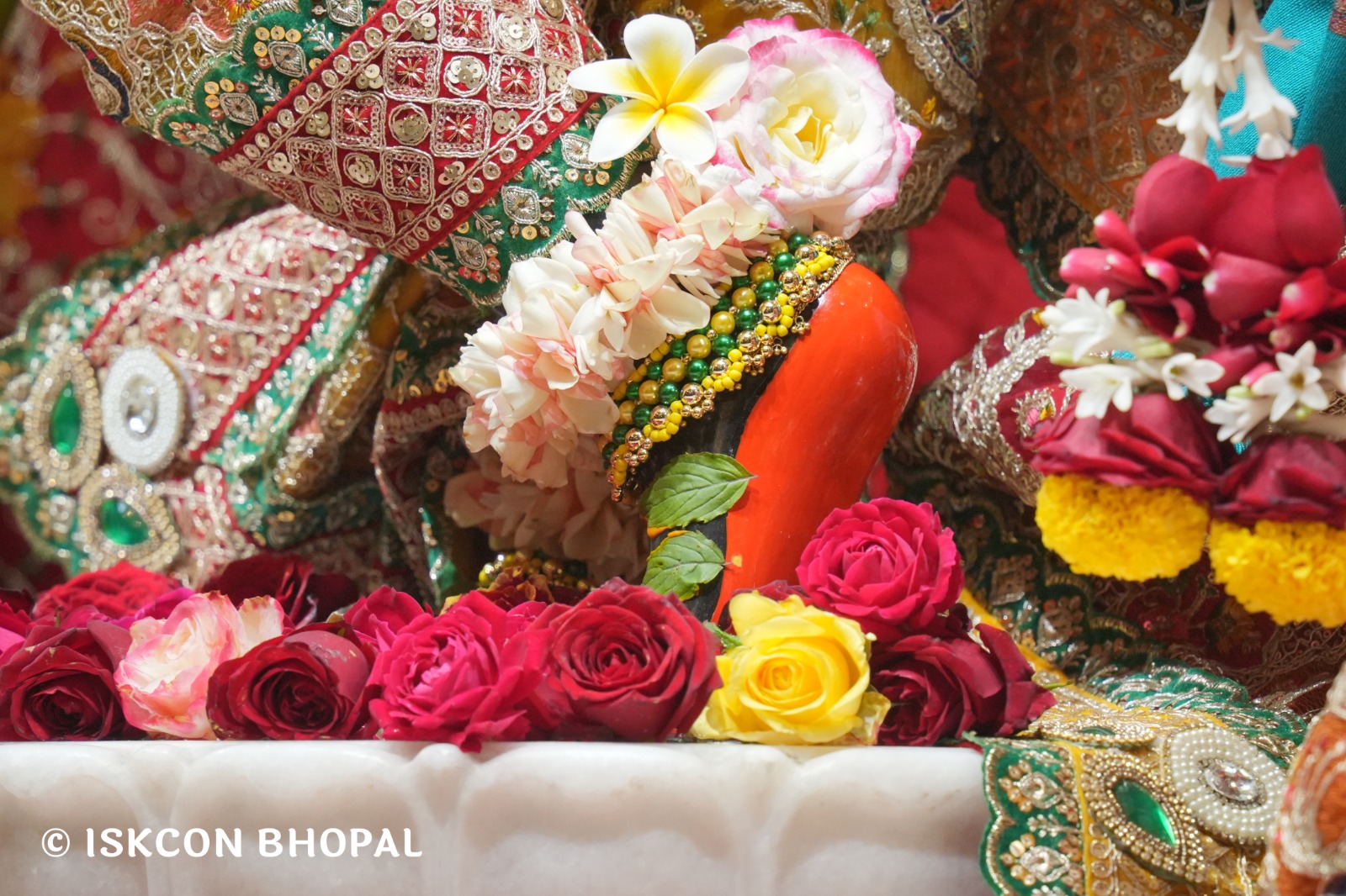 WhatsApp Image 2026-02-02 at 7.51.33 AM