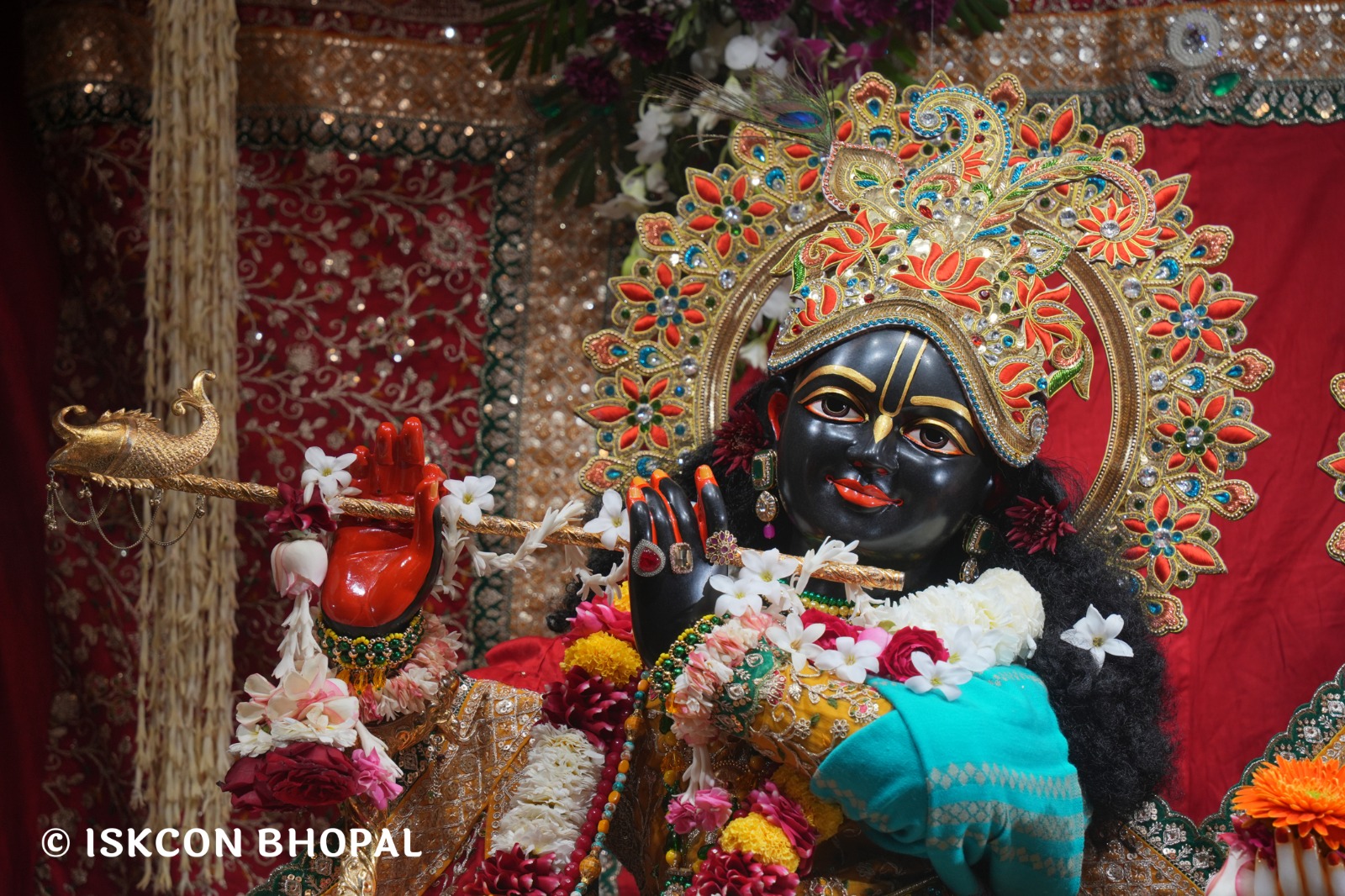 WhatsApp Image 2026-02-02 at 7.51.34 AM (1)