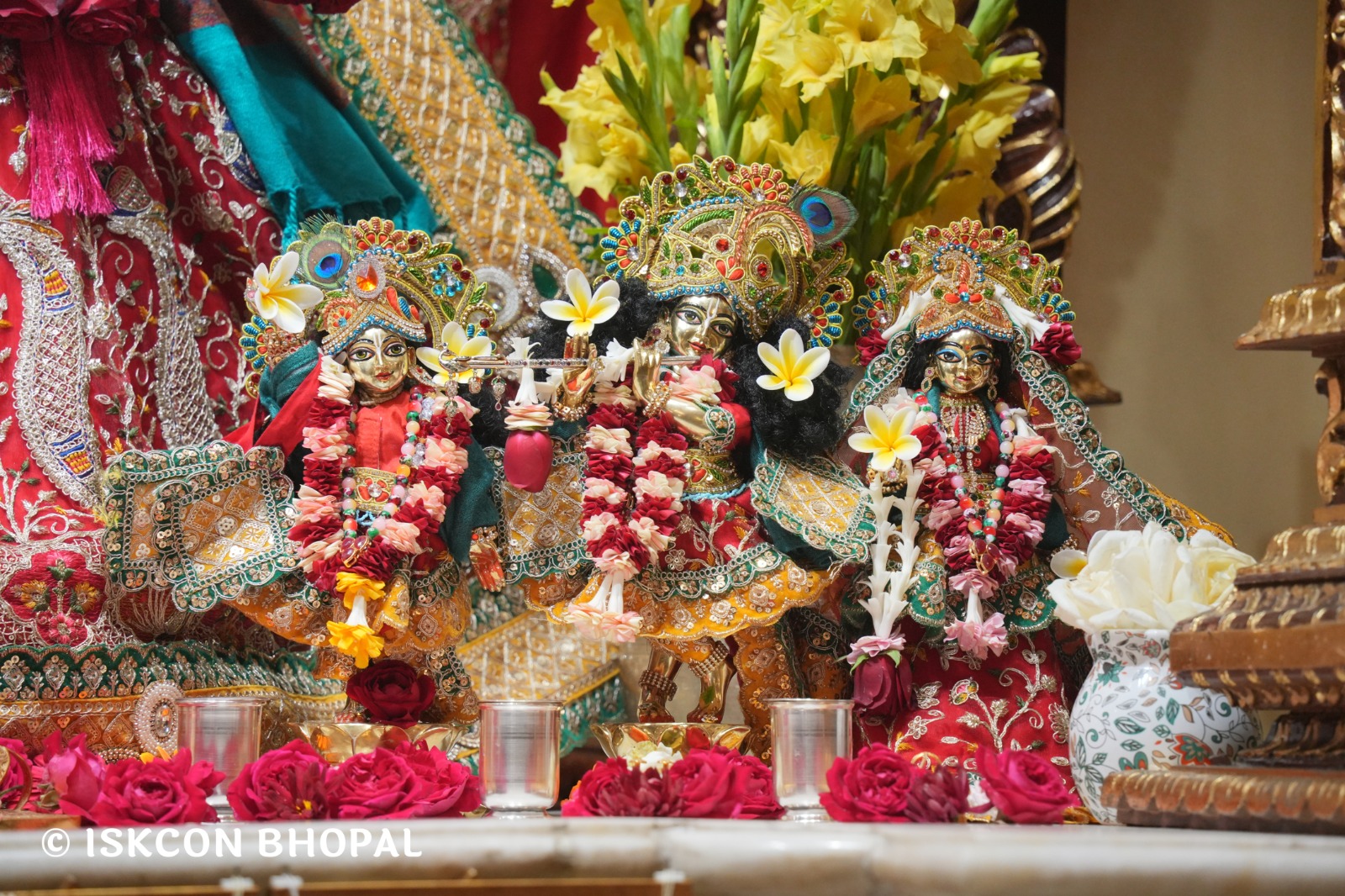 WhatsApp Image 2026-02-02 at 7.51.35 AM (1)