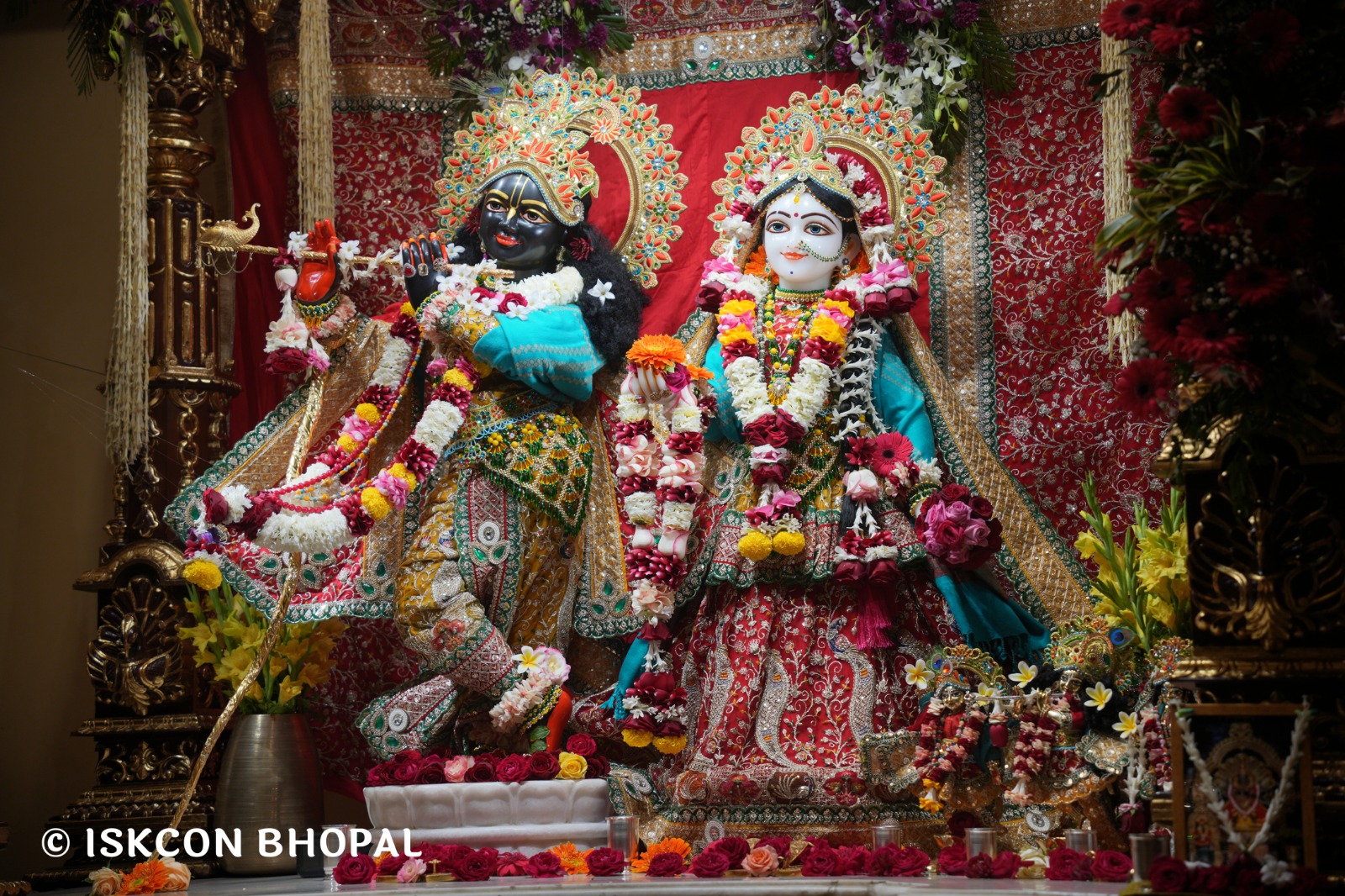 WhatsApp Image 2026-02-02 at 7.51.35 AM (3)