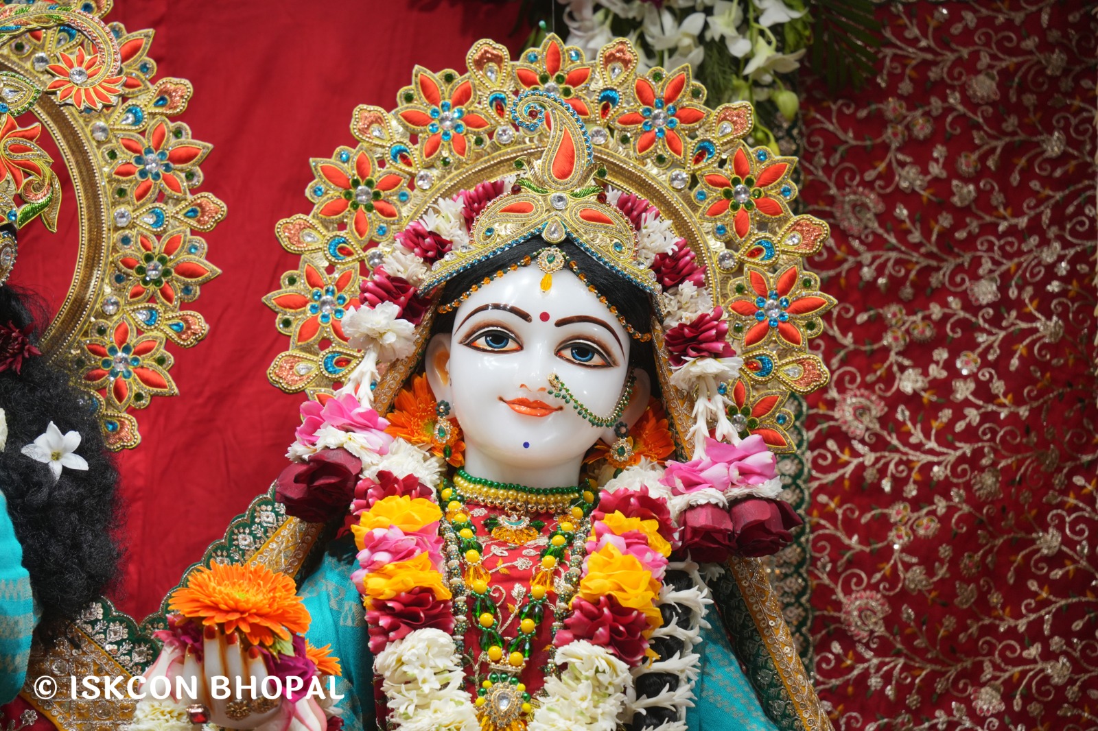 WhatsApp Image 2026-02-02 at 7.51.36 AM