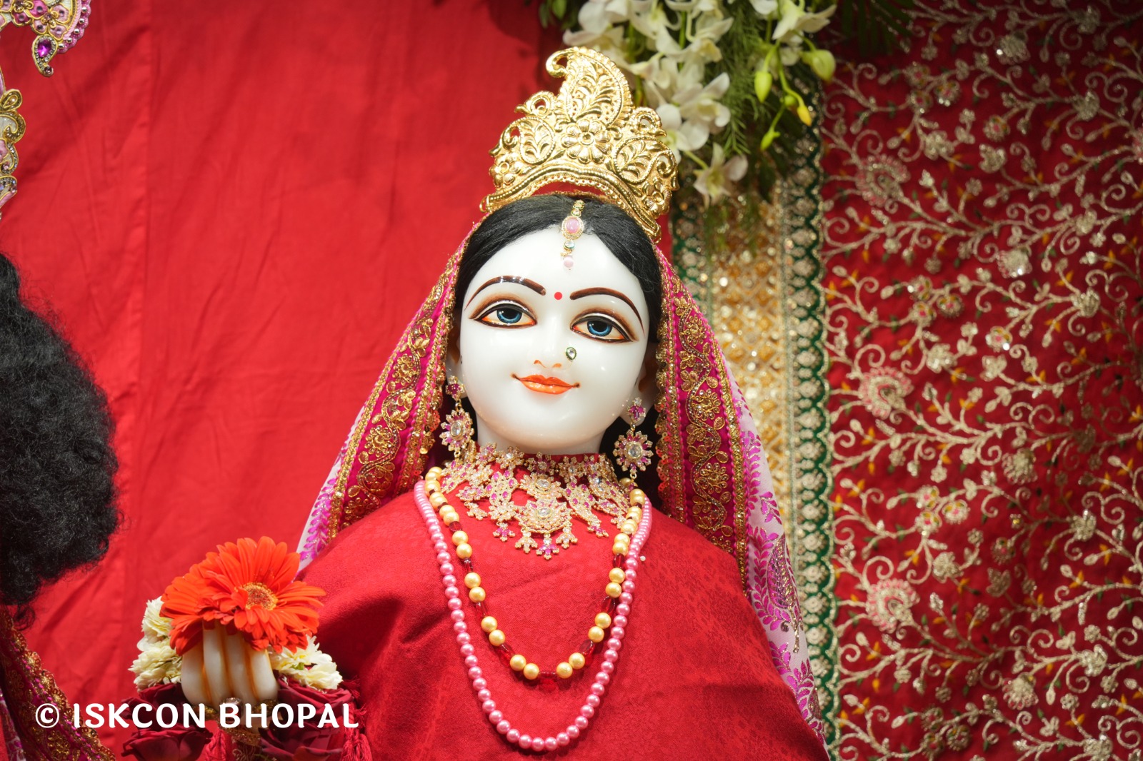 WhatsApp Image 2026-02-03 at 7.07.13 AM (1)