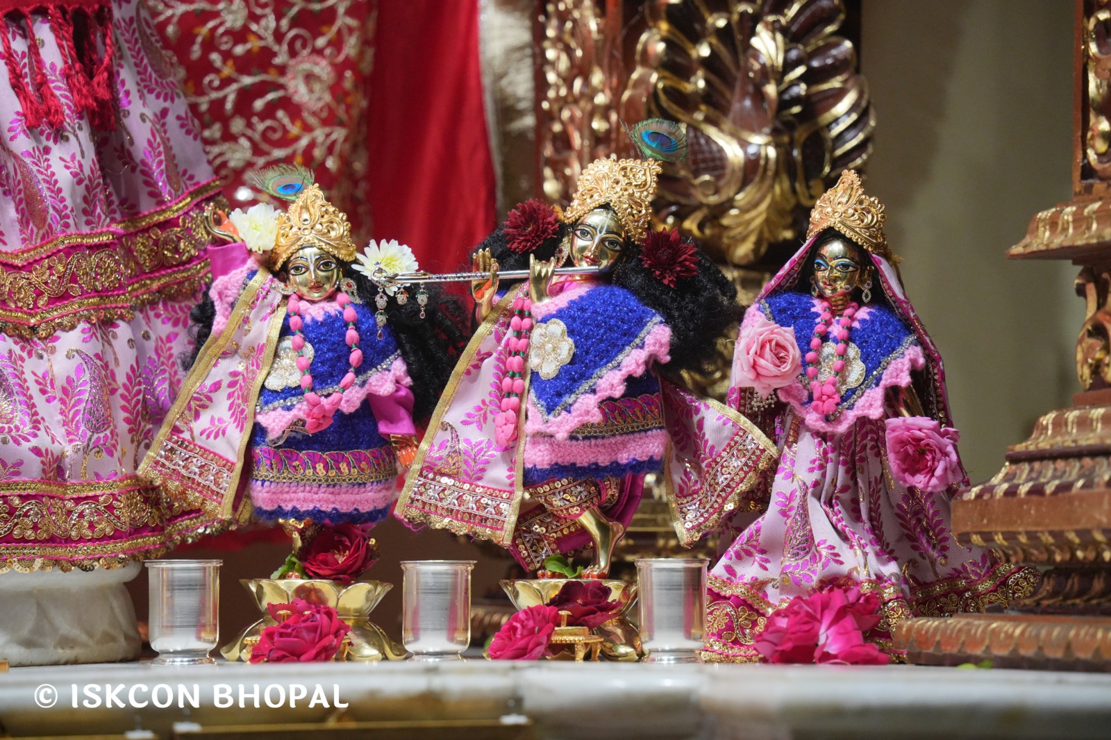 WhatsApp Image 2026-02-03 at 7.07.14 AM (1)