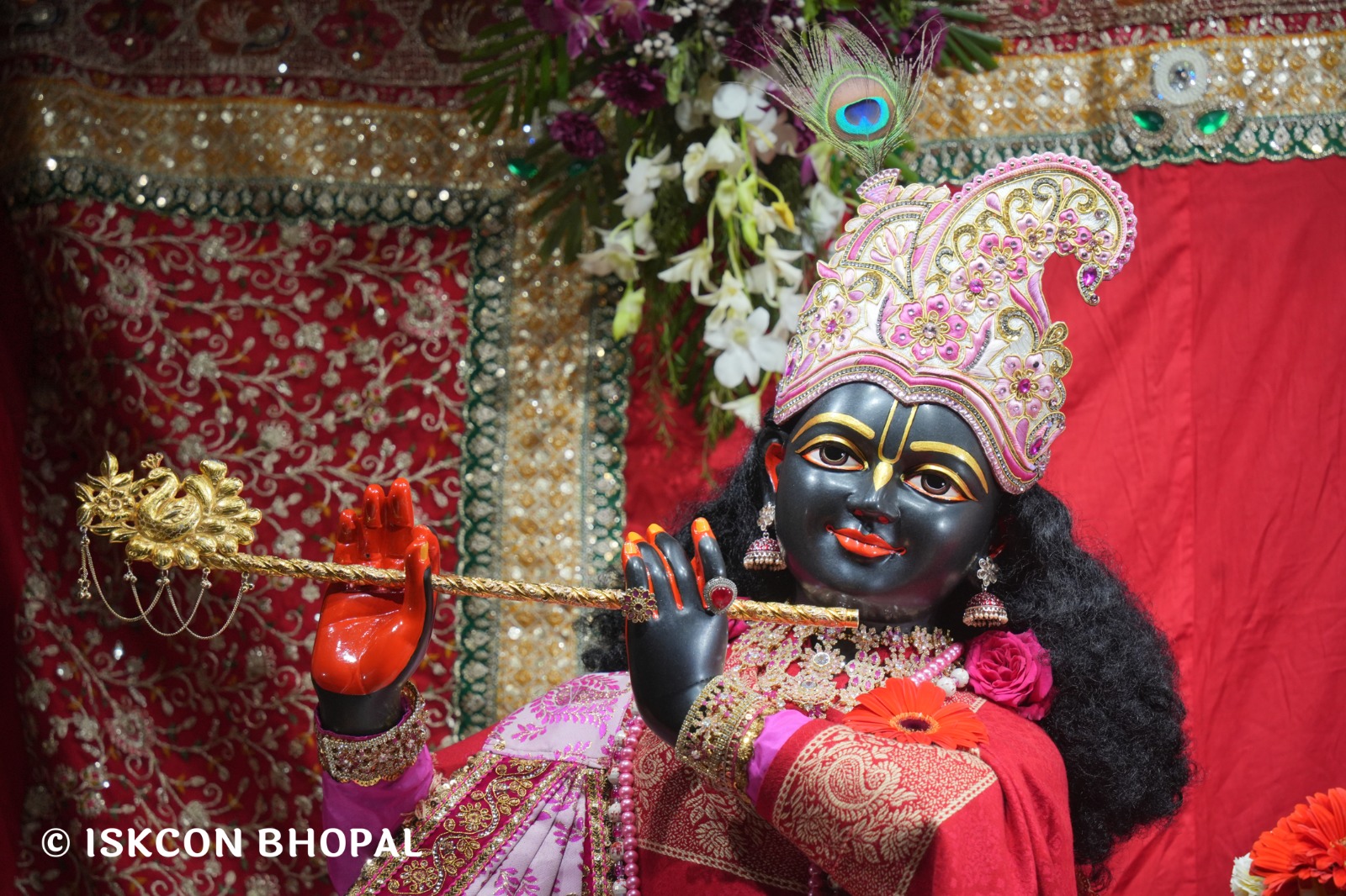 WhatsApp Image 2026-02-03 at 7.07.14 AM