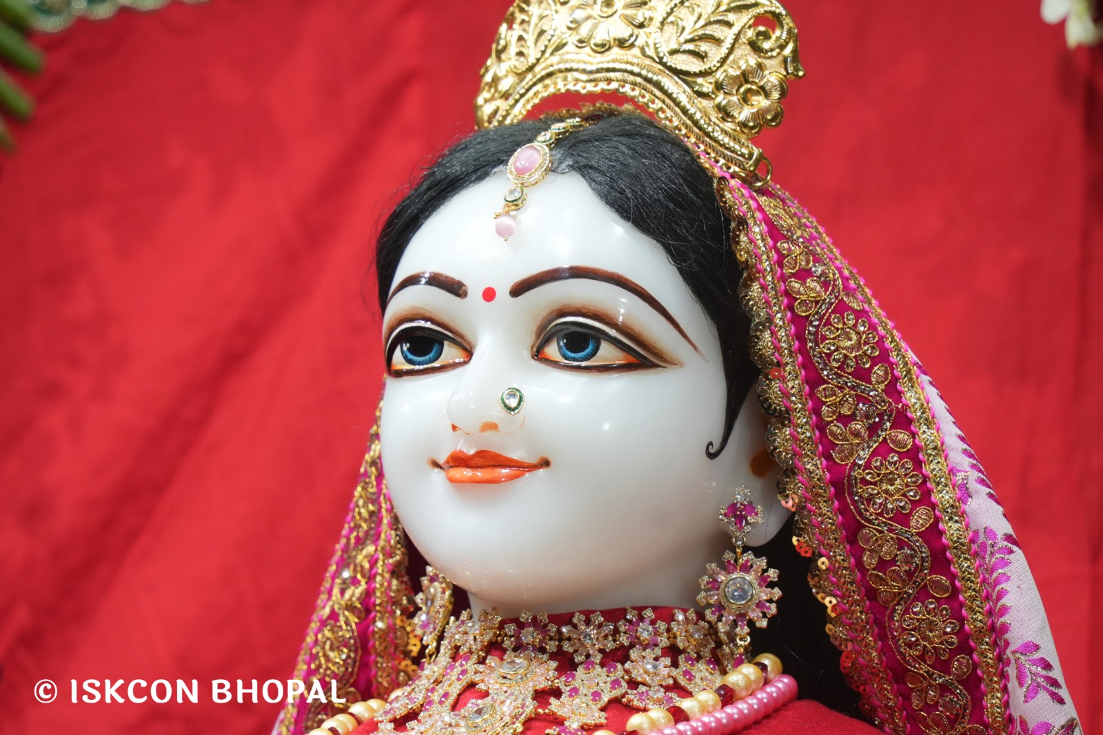 WhatsApp Image 2026-02-03 at 7.07.15 AM (2)