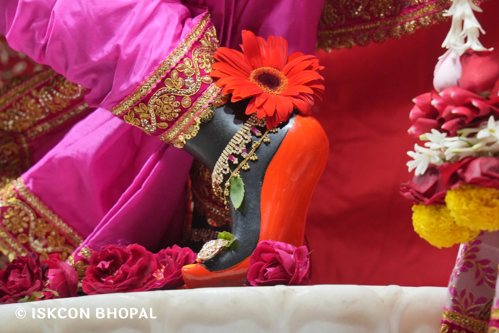 WhatsApp Image 2026-02-03 at 7.07.16 AM (1)