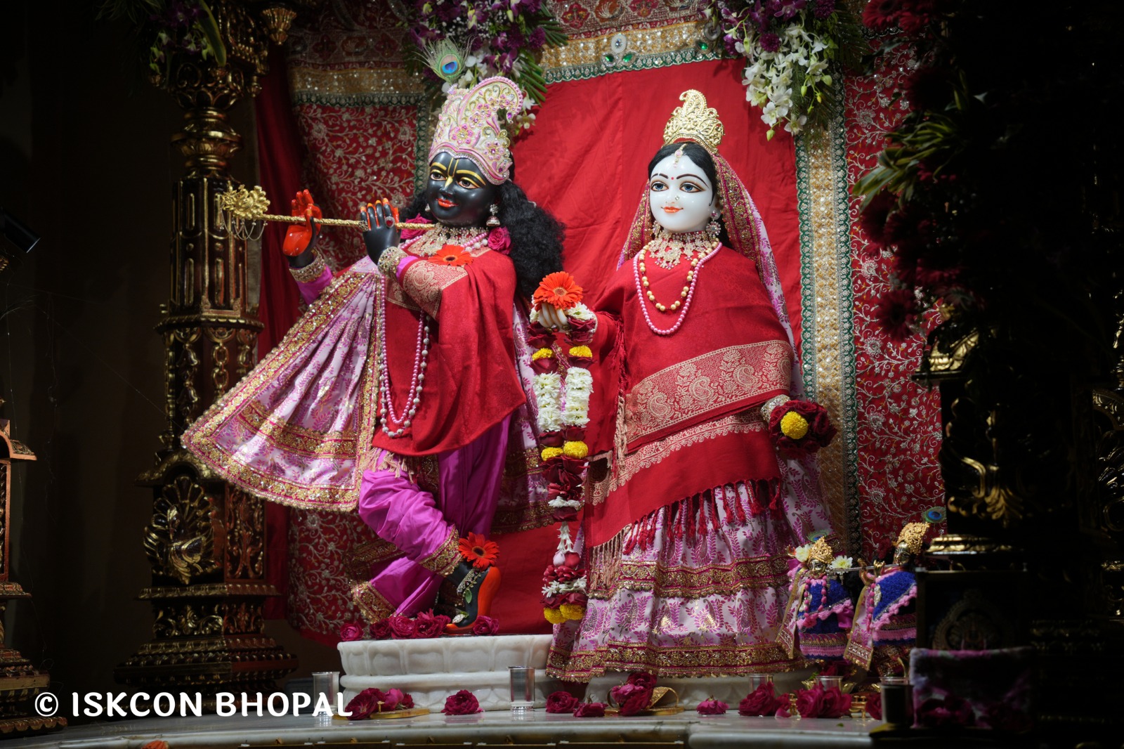 WhatsApp Image 2026-02-03 at 7.07.16 AM