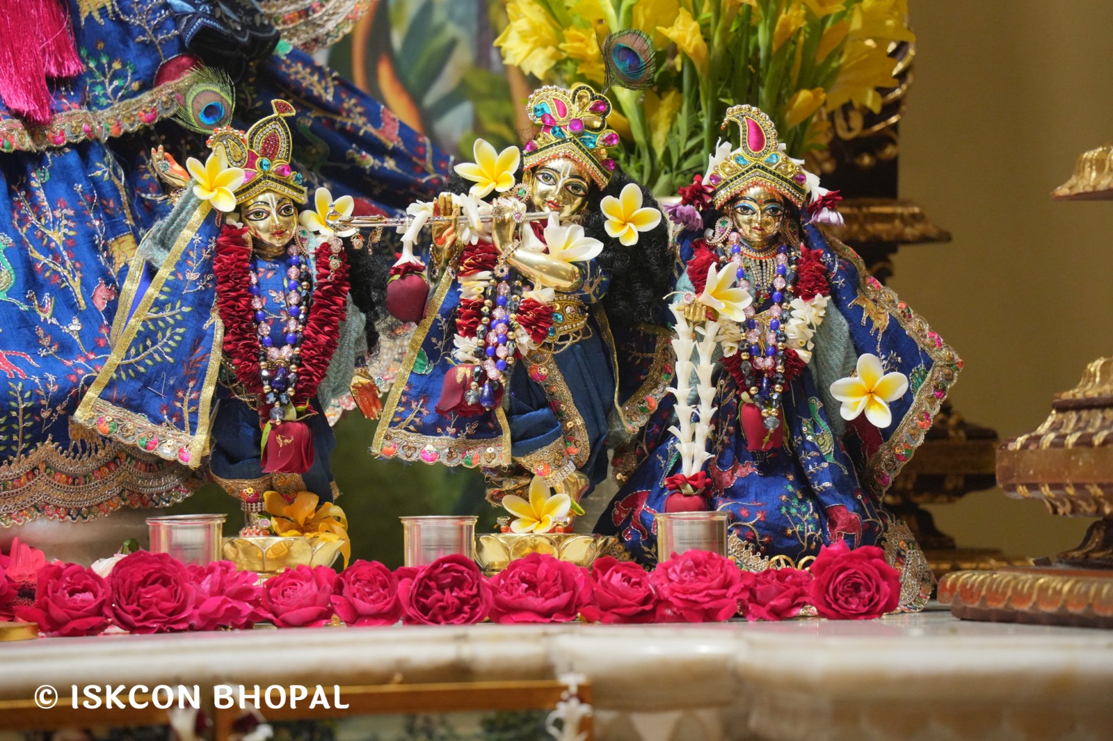 WhatsApp Image 2026-02-03 at 7.48.46 AM (1)