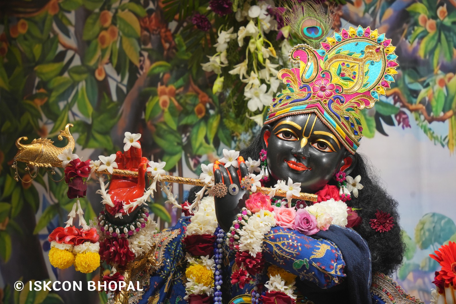 WhatsApp Image 2026-02-03 at 7.48.46 AM (2)